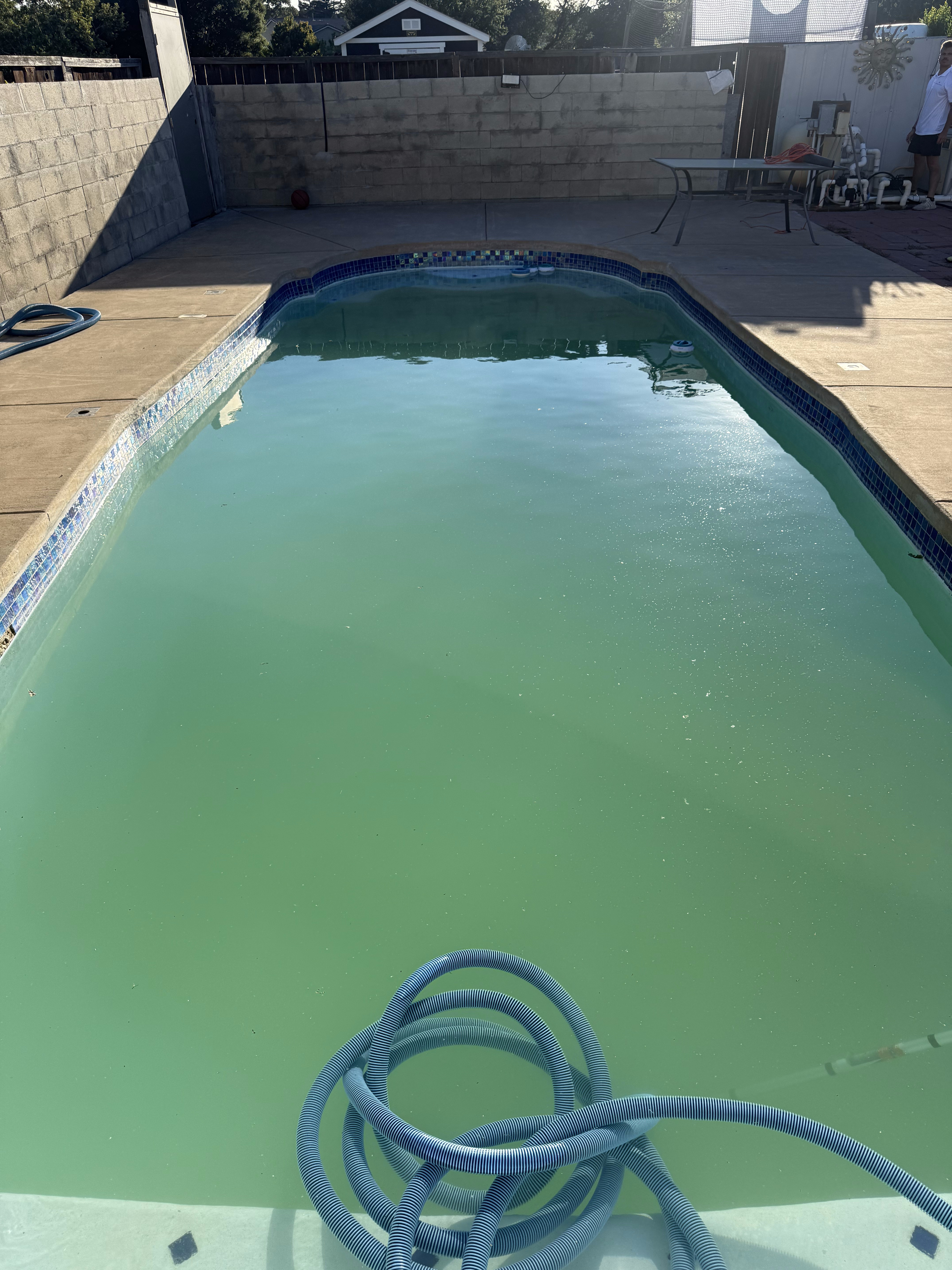 Green pool before recovery treatment
